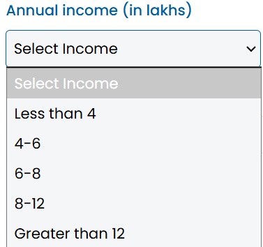 annual income